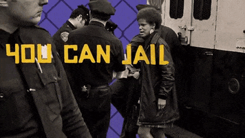 black panthers GIF by PBS
