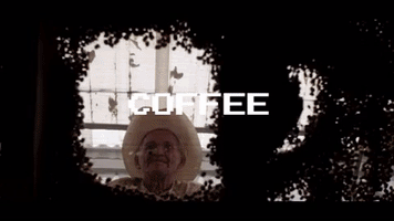 coffee specialtycoffee GIF by Perfect Daily Grind