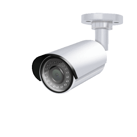 Zeladoria Scorpion Sticker