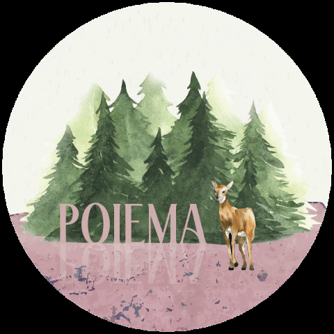 Poiema GIF by The Summer Lace