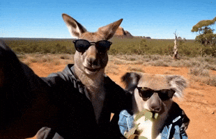 Comedy Ai GIF