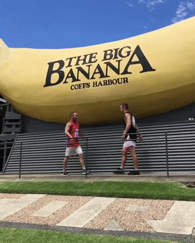 Coffs Harbour Twins GIF