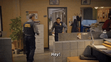 Animal Control Hello GIF by Comedy Club FOX
