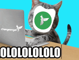 Cat Lol GIF by changeangel