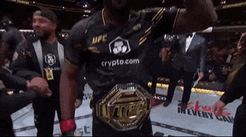 Mixed Martial Arts Sport GIF by UFC