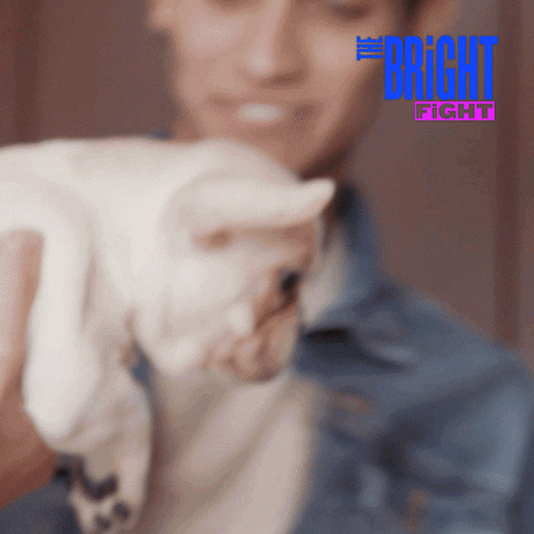 puppy love kiss by Dobre Brothers Bright Fight GIF Library