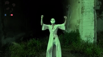 Ra Colshvili Datova Da Vis Gamo GIF