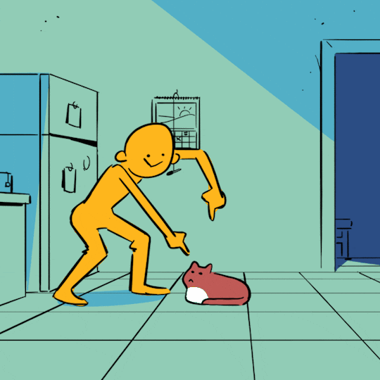 Cat Meme GIF