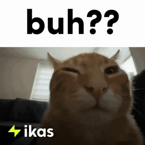 Grumpy Cat What GIF by ikas