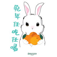 Chinese Bunny GIF by the3bunnies.co - Find & Share on GIPHY