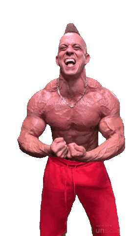 TheKingOfDiet Sticker