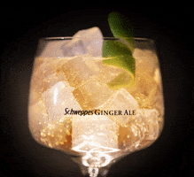 ginger ale copa GIF by Schweppes Suntory España