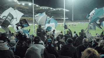 fans crowd GIF by Port Adelaide FC