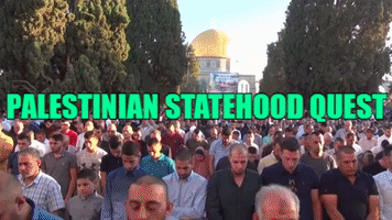 temple mount palestine GIF by TV7 ISRAEL NEWS
