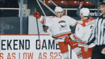 GIF by Charlotte Checkers