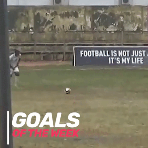 Goal Mycujoo GIF by ELEVEN SPORTS