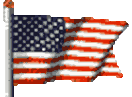 American Usa Sticker
