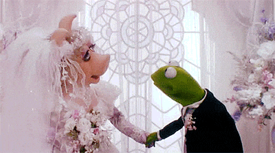 Just Get Married Already GIFs - Get the best GIF on GIPHY