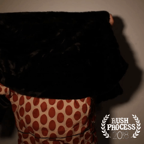 Aurora20 Rushprocess2018 GIF