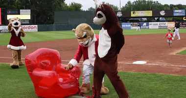 ozzie t cougar christmasinjuly GIF by Kane County Cougars