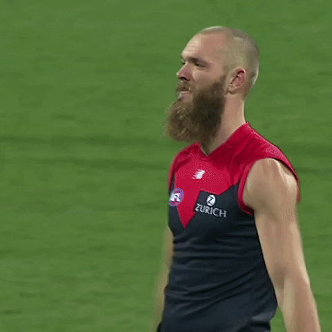 excited hi five GIF by Melbournefc