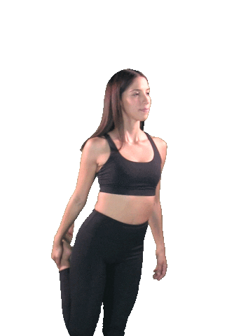 Ballet Sticker by NUObalance