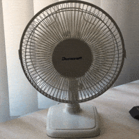 200w.gif