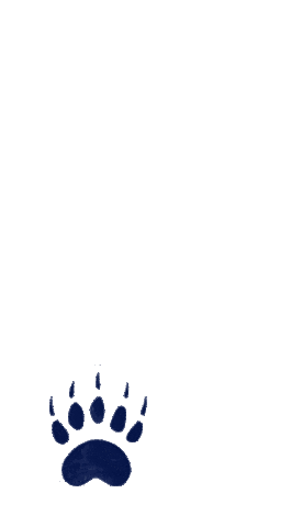 Bears Kombucha Sticker by Bear's Fruit