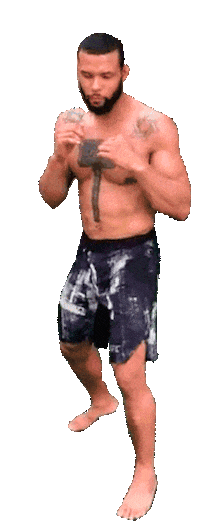 Ufc Thiago Sticker by Marreta