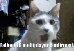 Fallout Omg GIF