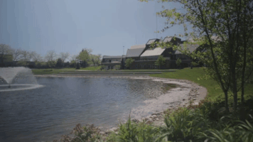 pond zumberge GIF by Grand Valley State University