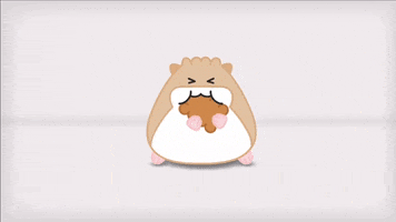 cookie eat GIF by hamsta.world