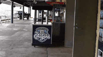 Mondays Props GIF by Kane County Cougars