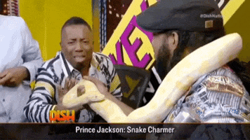 scared snake GIF by Dish Nation