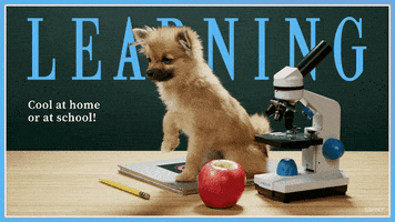 Learn Back To School GIF by Originals