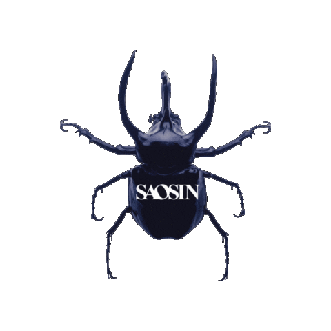 Animated Sticker