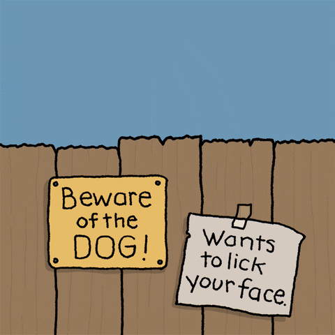 Cartoon gif. Two signs on a fence read, "Beware the dog!" and "Wants to lick your face." Chippy, a small white dog, pops their head over the fence intermittently, waving at us with more signs that read, "Come here. Come Closer!"