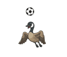 World Cup Soccer Sticker by Real Canadian Superstore