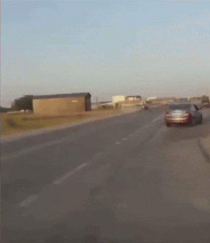 Airplane Aviation GIF