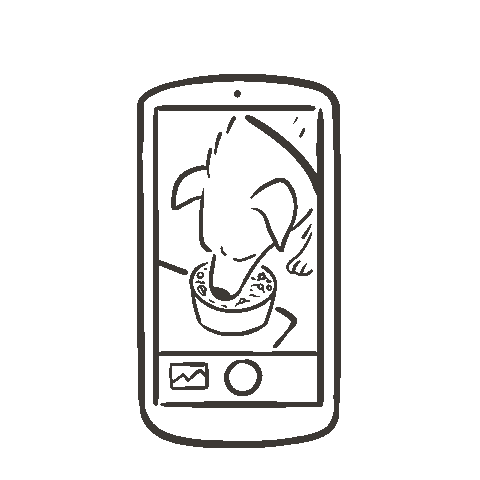 Nom Nom Sticker
