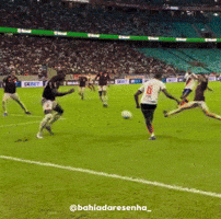 Bahiadaresenha GIF