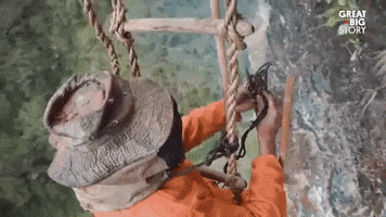 working honey hunt GIF by Great Big Story