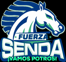 sport horse GIF by Senda del Río