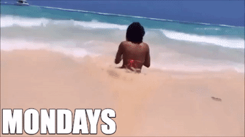 Beach Lol GIF