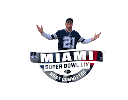 Super Bowl Football Sticker by The Stalker Creatives