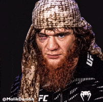 Ufc Mma GIF
