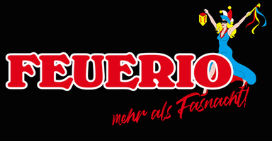 Mannheim Feuerio GIF