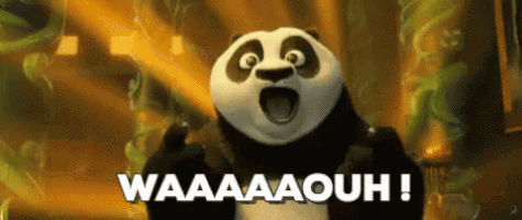 Kung Fu Panda Reaction GIF