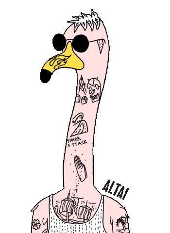 Sunglasses Flamingo Sticker by Altai Company