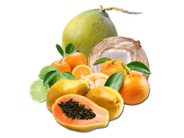 Bello Bellofruit Sticker by Bellopapaya
